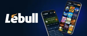 Lebull Recenzja 2