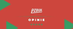 Pzbuk Recenzja 2